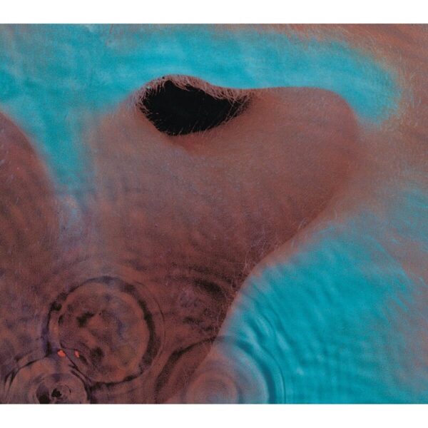 pink-floyd-meddle-front Pink Floyd – Meddle (180g Remastered Vinyl LP)