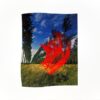 pink-floyd-wish-you-were-here-postcard-3 Pink Floyd – Wish You Were Here (180g Remastered Vinyl LP)